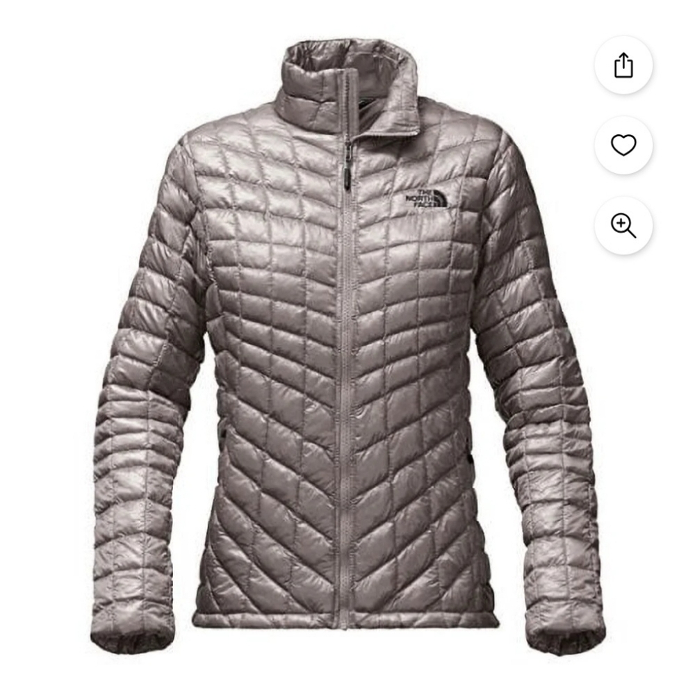 The North Face Women's Silver Puffer Jacket